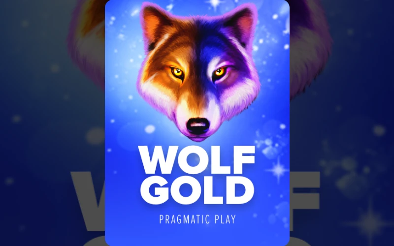 Spin reels of Wolf Gold and claim rewards at BC Game.